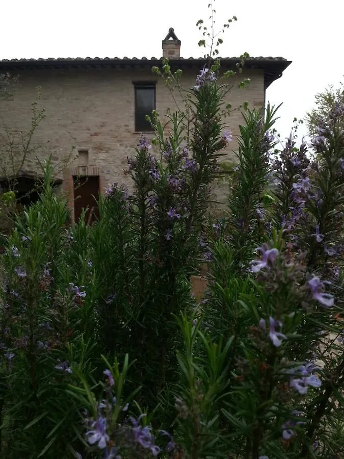 Agriturismo Il Poggio Degli Scoiattoli Pérouse Couette-café