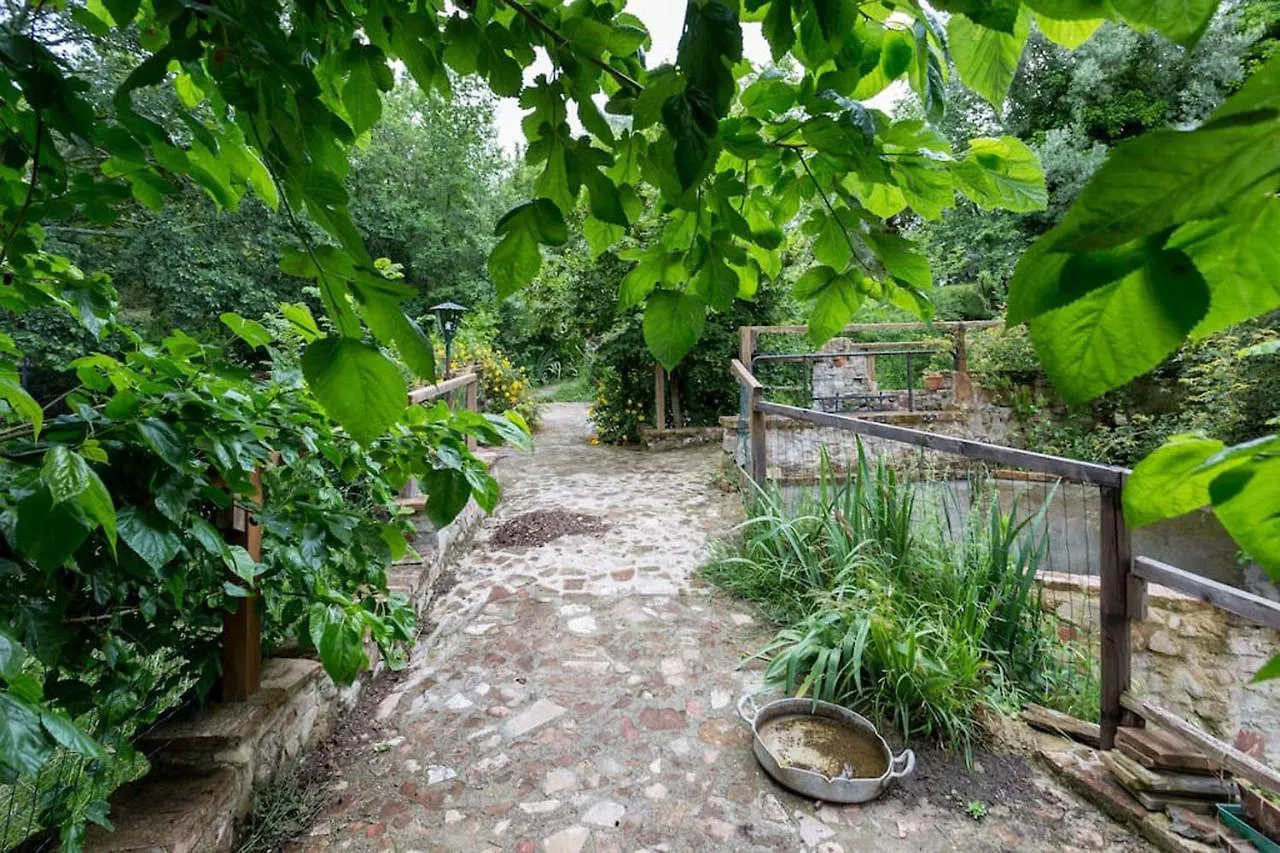 Couette-café Agriturismo Il Poggio Degli Scoiattoli Pérouse