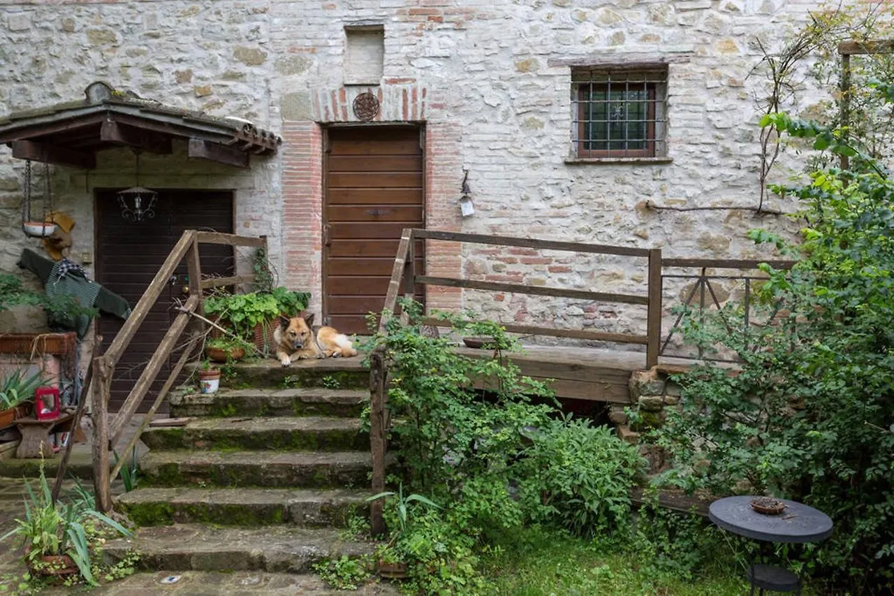 Agriturismo Il Poggio Degli Scoiattoli 佩鲁贾